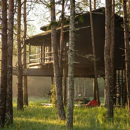 Sambliku Treehouse Villa Jogisoo Kültér fotó