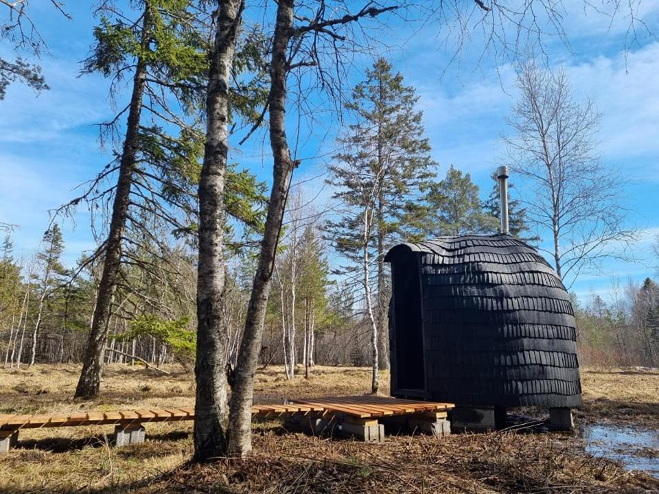 Sambliku Treehouse Villa Jogisoo Kültér fotó