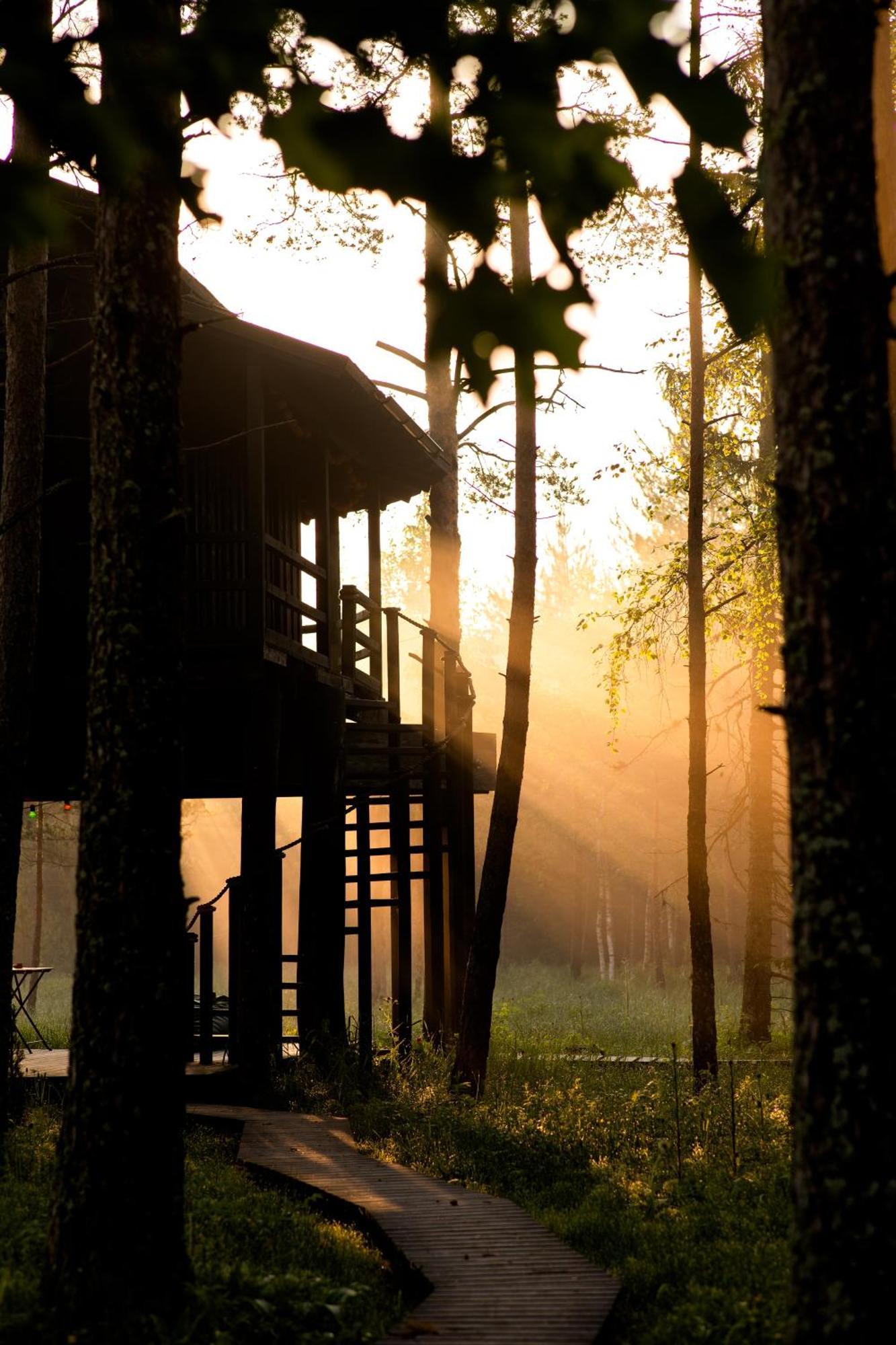Sambliku Treehouse Villa Jogisoo Kültér fotó